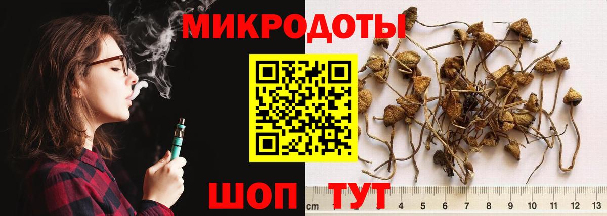 Новоалтайск  Галлюциногенные грибы Magic Shrooms  Вход с VPN 