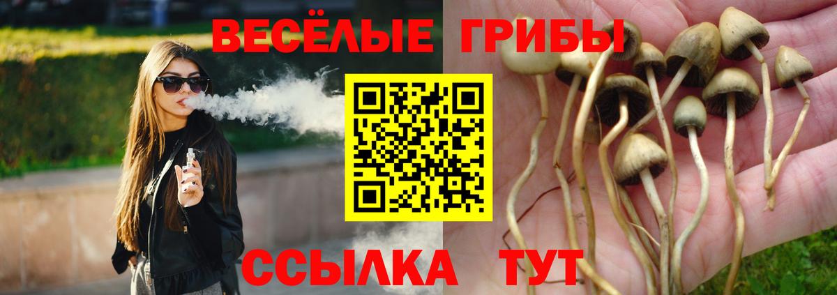Псилоцибиновые грибы ЛСД Новоалтайск